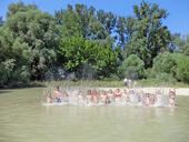 Faires Verhalten im Nationalpark Donau-Auen: Wo darf ich baden und bootfahren?