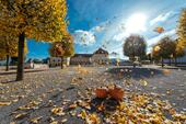 Herbsttipps in der Tourismusregion Carnuntum-Marchfeld